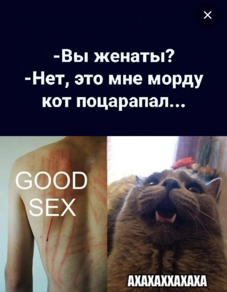IMG 20250514 171927