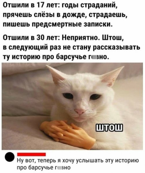 3f87a67c958a42d432cae