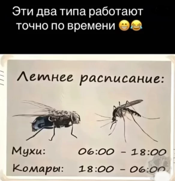 file_99799213