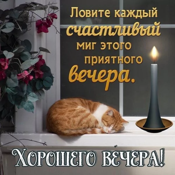 file_95377177