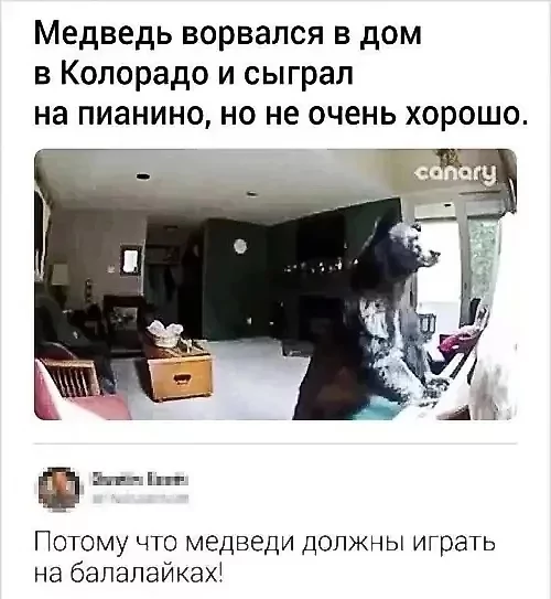 file_99803885