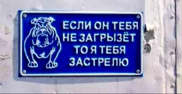 Если он тебя не загрызёт, то я тебя застрелю