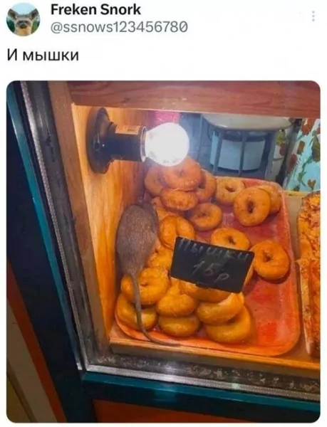 x500