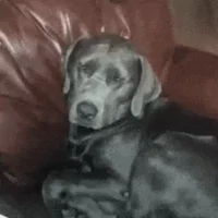 *