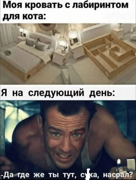 file_99780495
