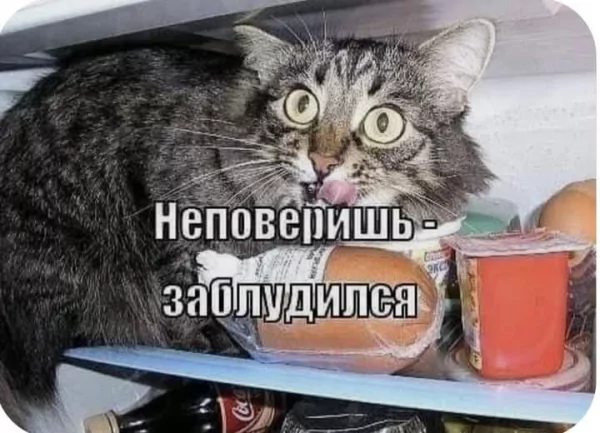 FB IMG 1746700373939