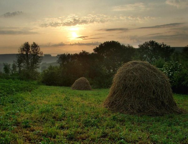 Мирное Утро - Peaceful Morning