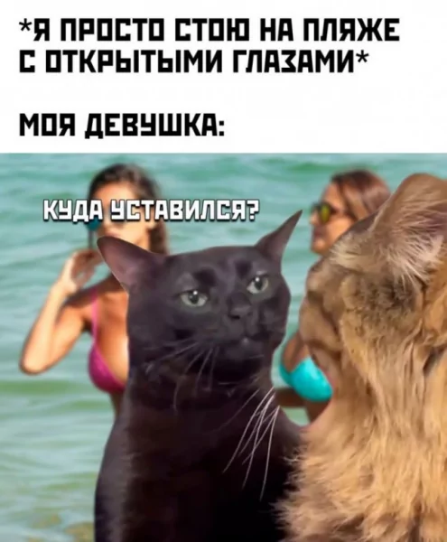 Df64b6bbbc 20002780