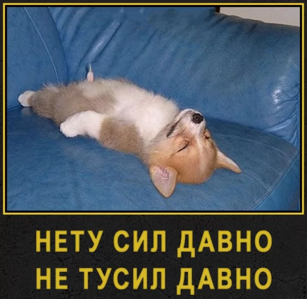 Нетусил...