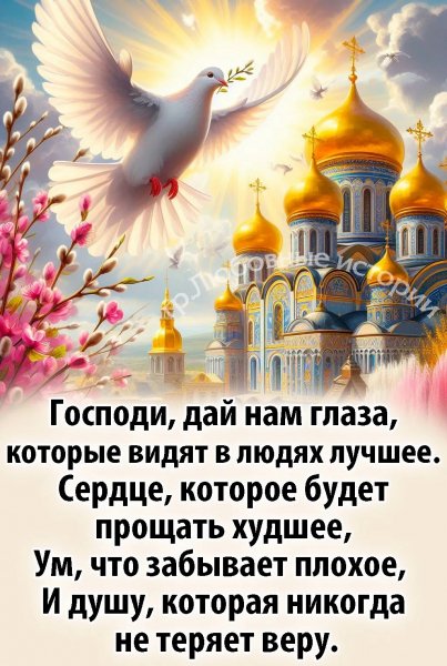 picture_387374848