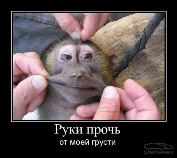 picture_373499108