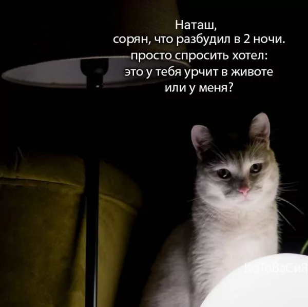 Или у меня?