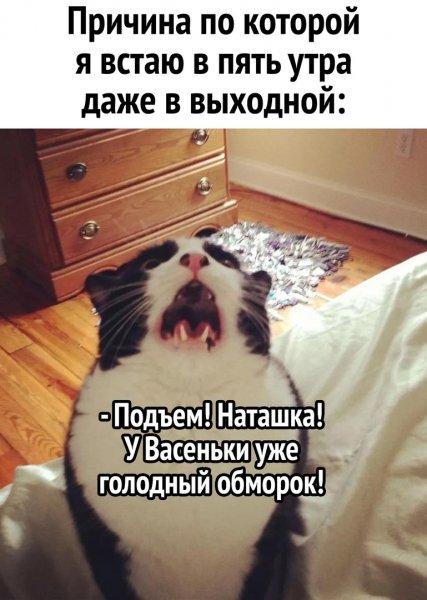 Причина...