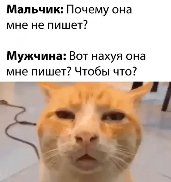 p.600.600.0