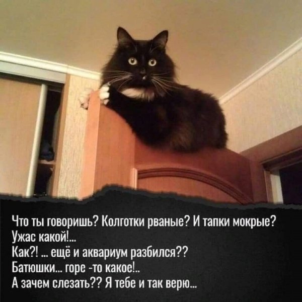 Ужас какой!...