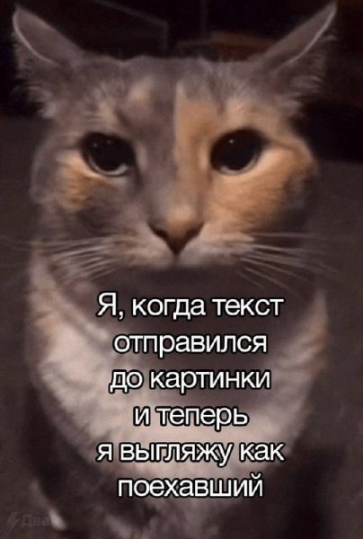 )