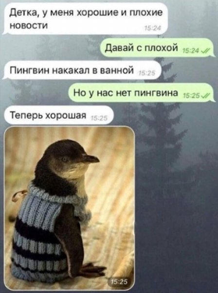 IMG 1747189961025