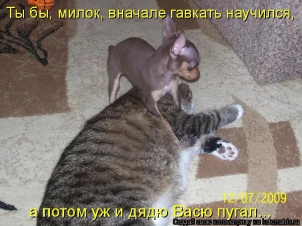 И то верно! )))
