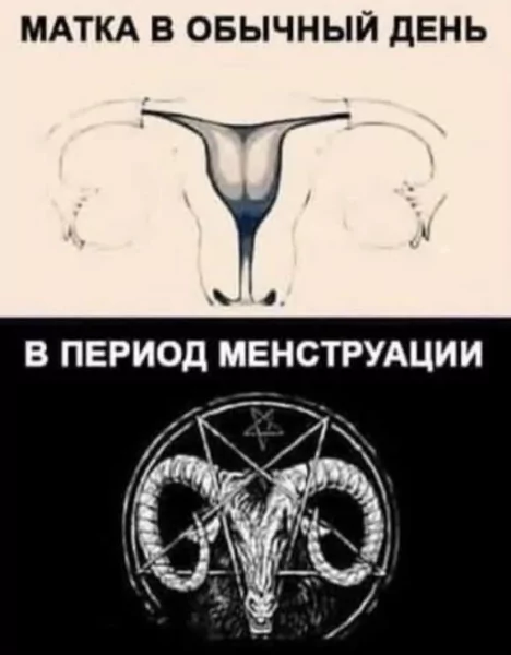 KZABY0i7l1u3OUrX