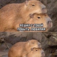 *