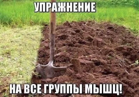 Спорт