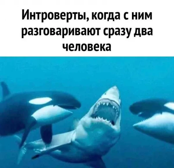 picture_388086573