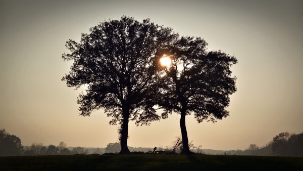 Te abendstimevening nature landscape-1272984.jpg!d