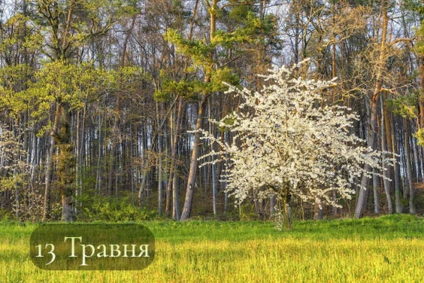 13 Травня