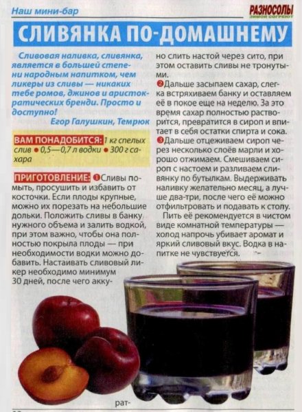 Сливянка по - домашнему