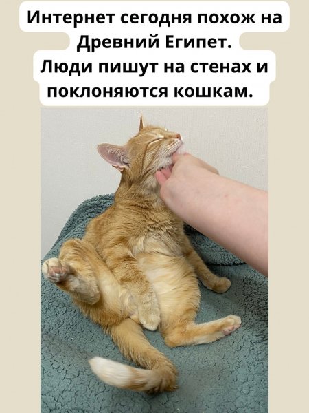 Это точно! ))