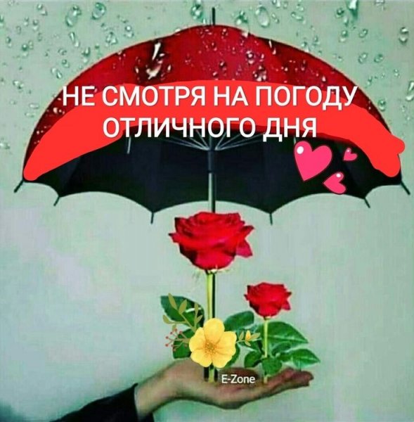 Доброе утро!