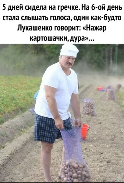 p.600.600.0