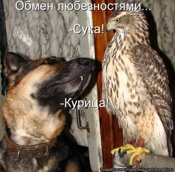 Ce4132f6011c821589c80828640f30cb