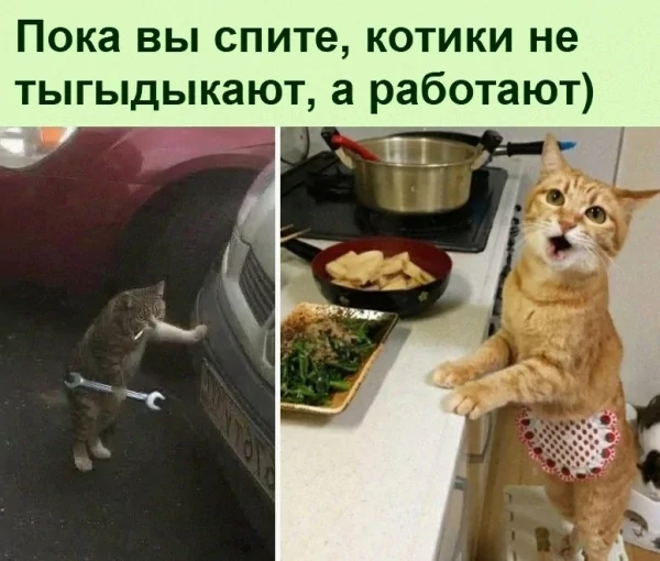Да! ))