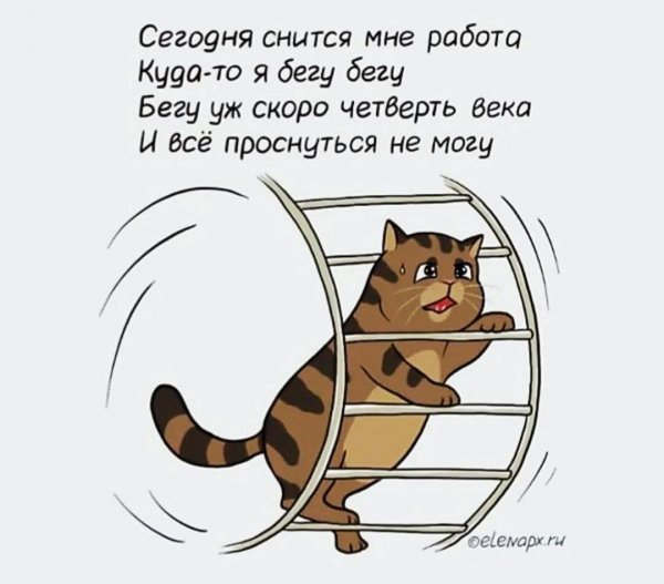 IMG 1747053866608