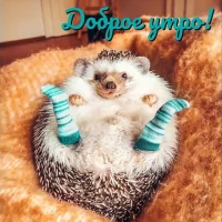 *