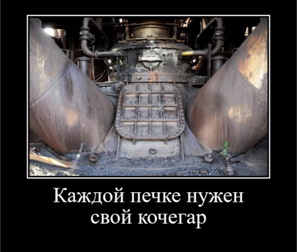 picture_373499096