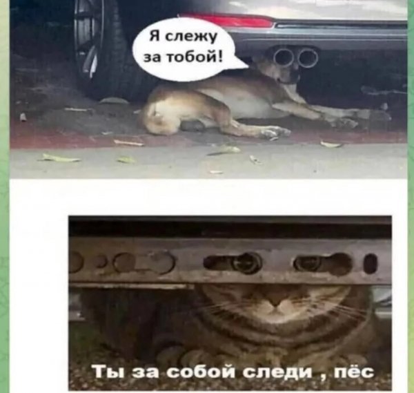 f.1200.1200.0