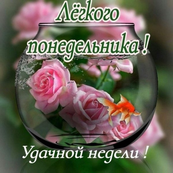 Всем вам!