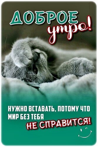 Доброе утро
