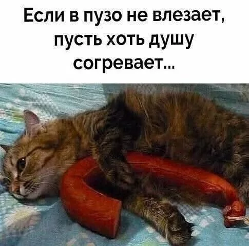 FB IMG 1747111106837