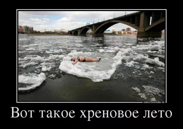 picture_373497007