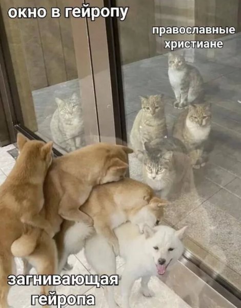 p.1200.1200.0