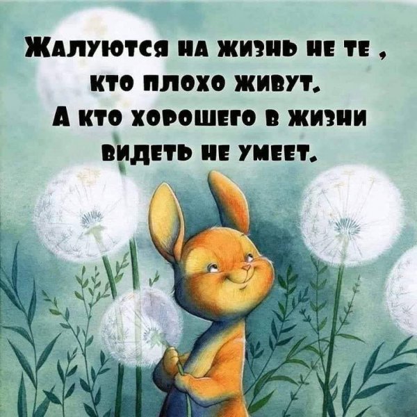 IMG 1747053900919