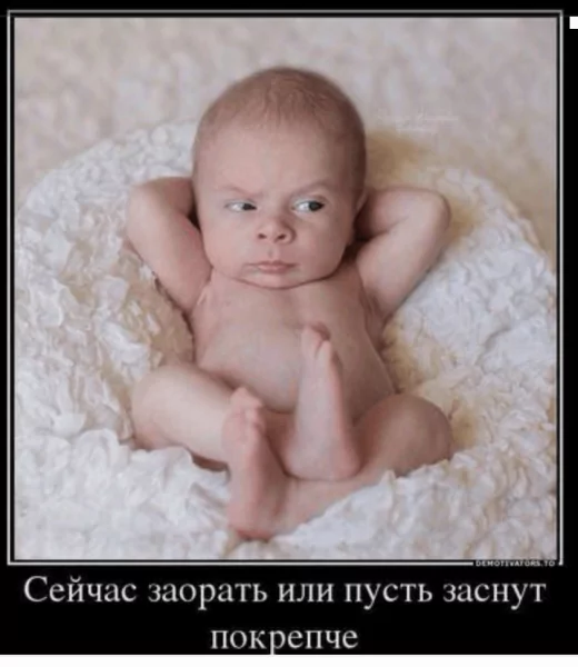 picture_387169394