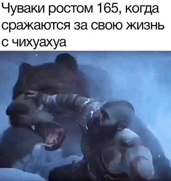 Dbe4babe53 20001836