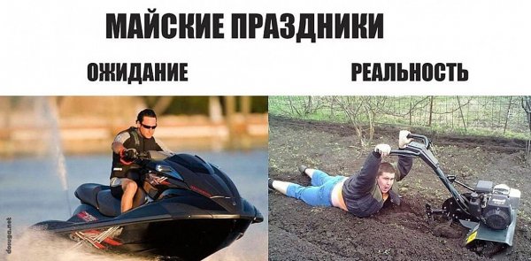 Majskie