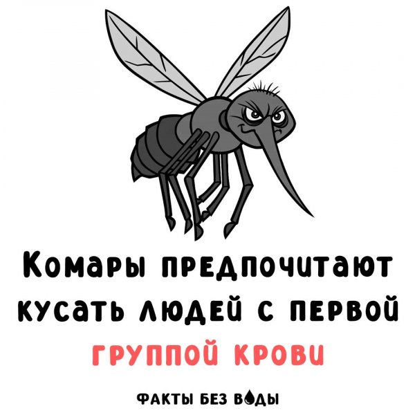 IMG 20250513 093633 310