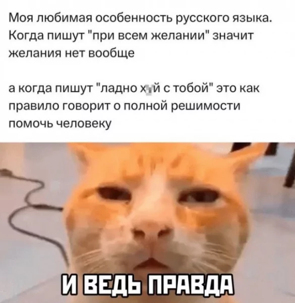 D3a15acd17 20002793