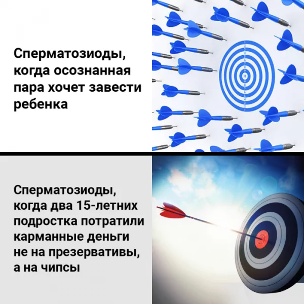 Podborka-samyh-smeshnyh-foto-i-memov-na-pjatnicu-19